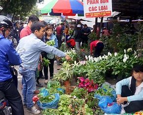 Khám Phá Những Điểm Đến Nổi Tiếng Tại Hải Phòng 2024